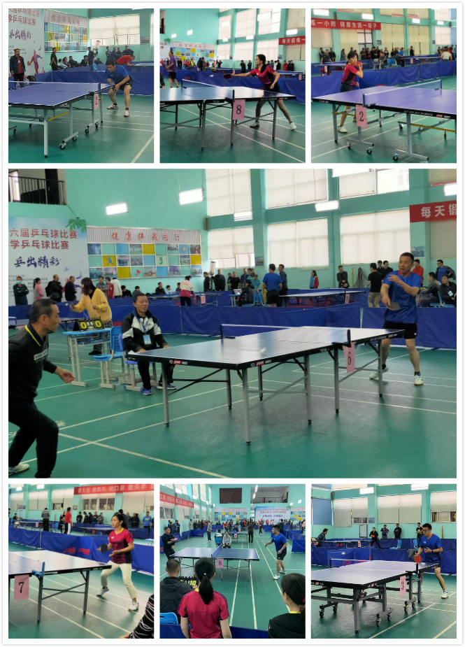 素养和科内 素养和科内